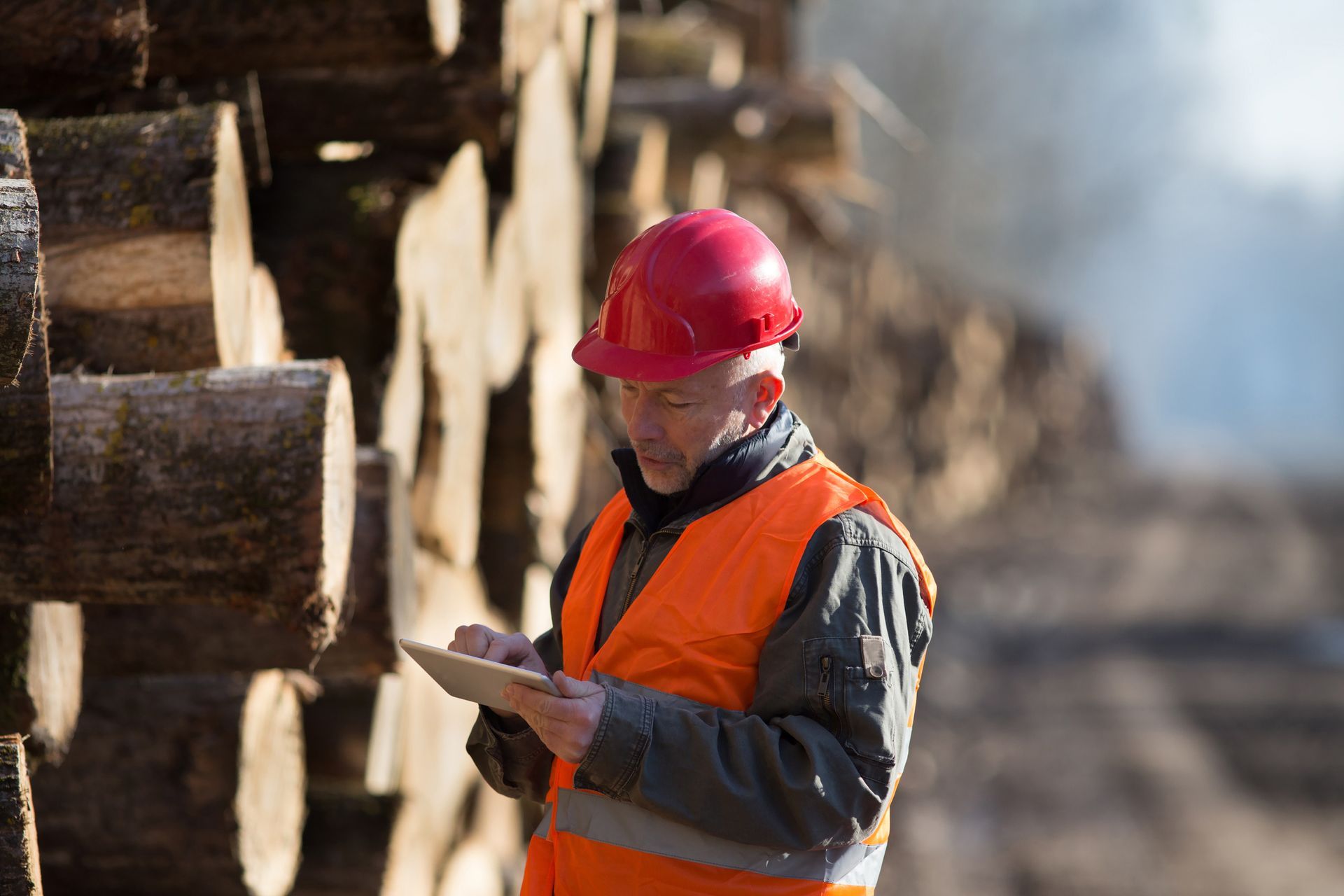 Lumber Engineer Looking at Tablet — Tonasket, WA — Will Logging & Construction LLC