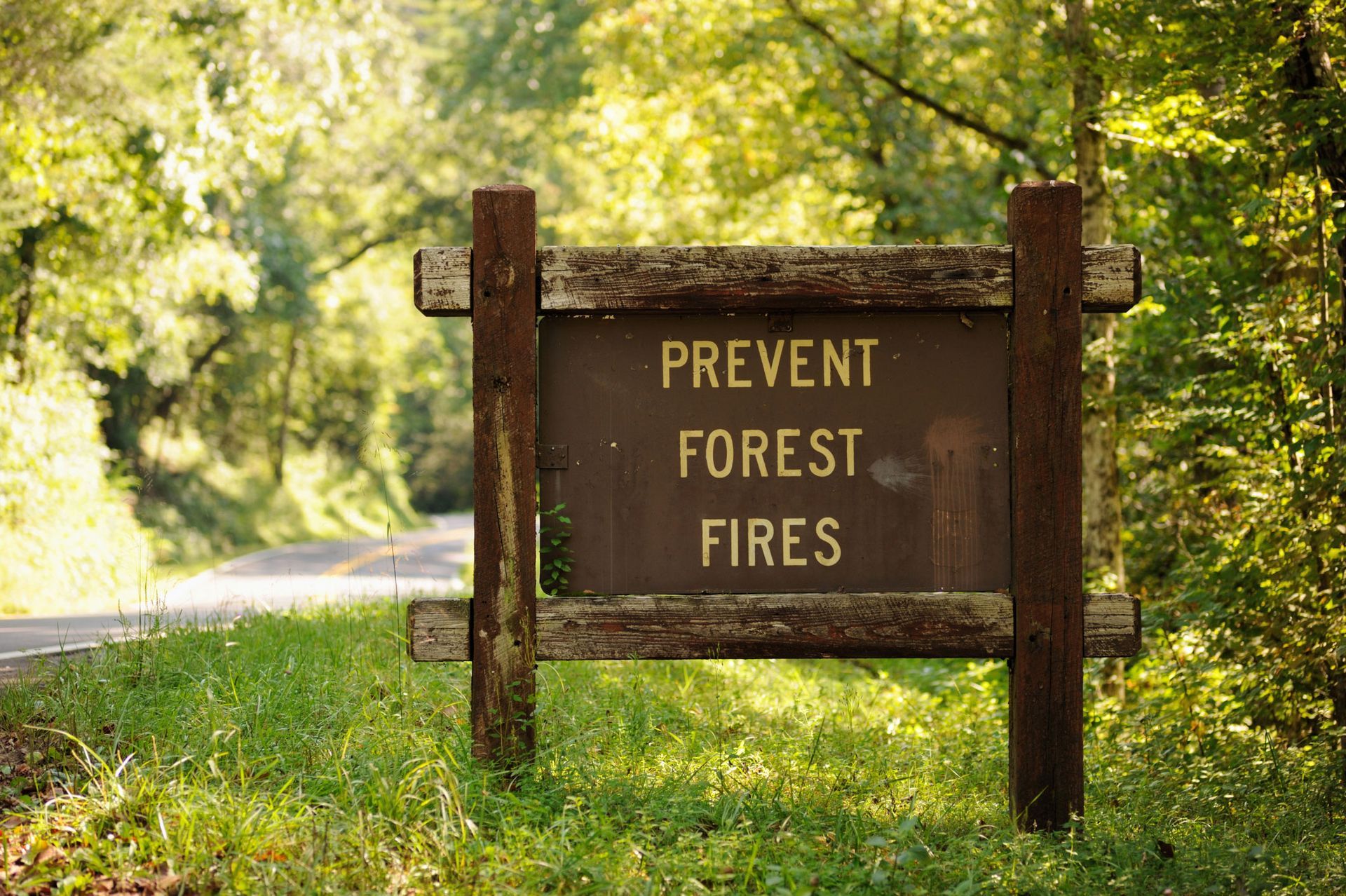 Prevent Forest Fires Sign Near Road — Tonasket, WA — Will Logging & Construction LLC