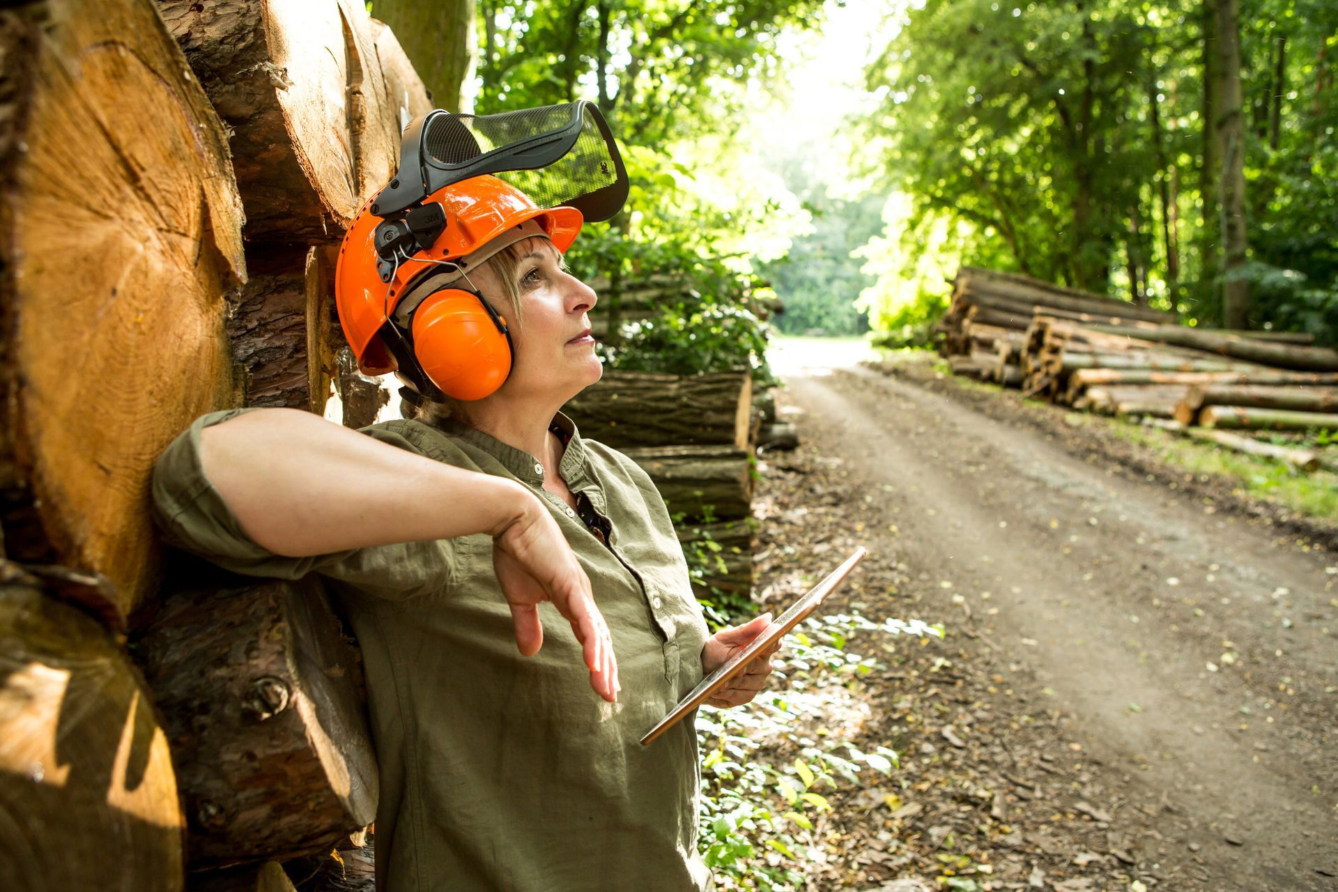 Deforestation — Tonasket, WA — Will Logging & Construction LLC