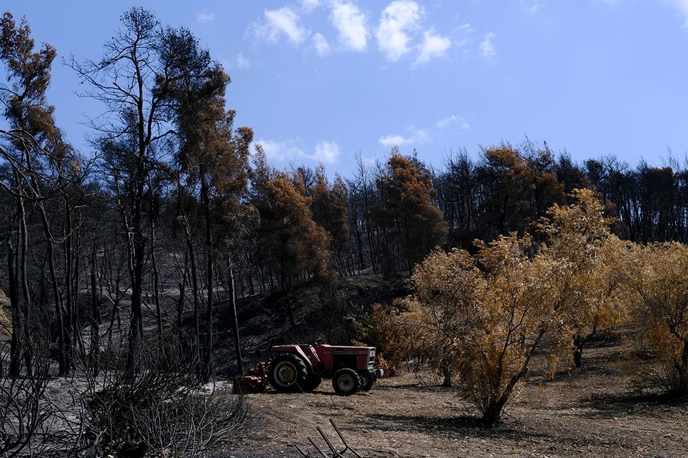 Burnt Forest — Tonasket, WA — Will Logging & Construction LLC Burnt Forest — Tonasket, WA — Will Logging & Construction LLC