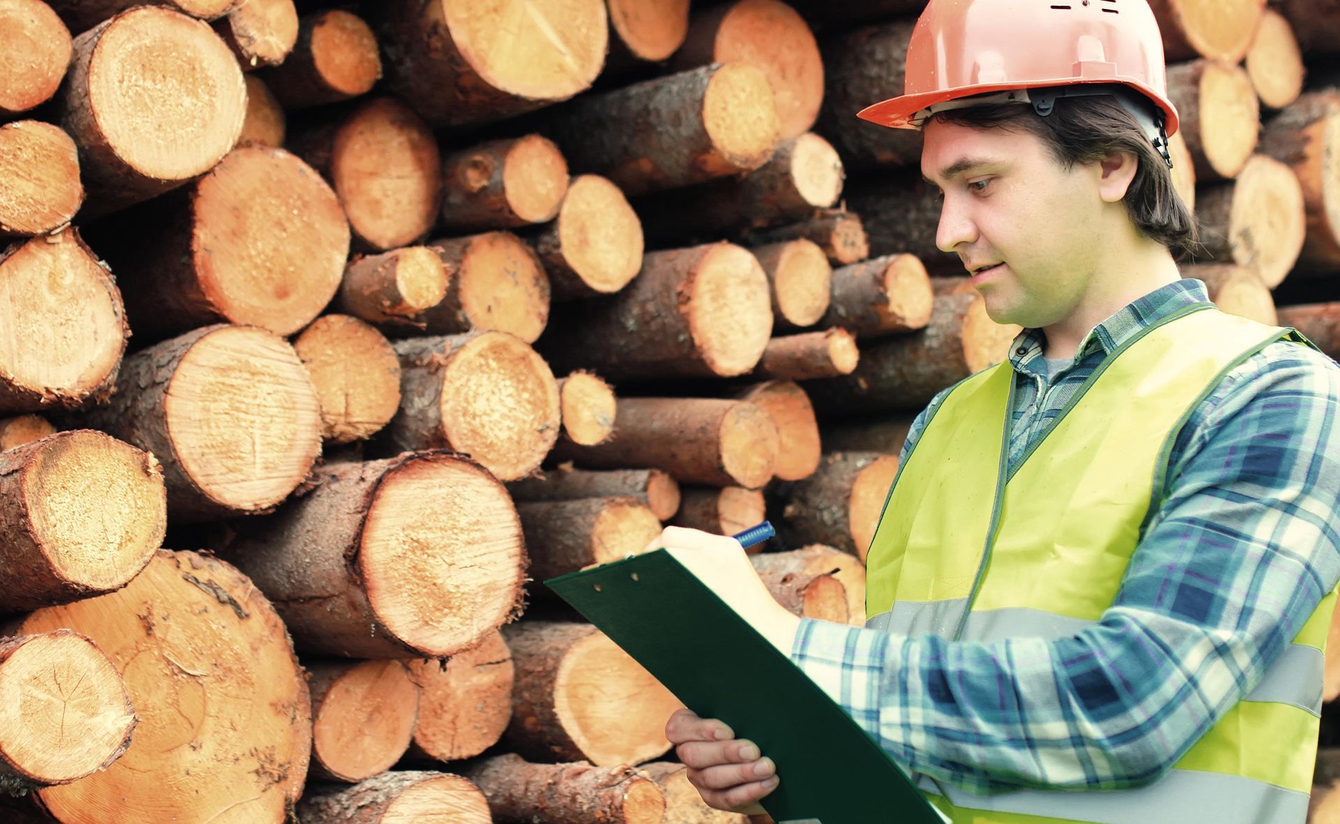 Worker in Helmet Counts Wood Lumber — Tonasket, WA — Will Logging & Construction LLC