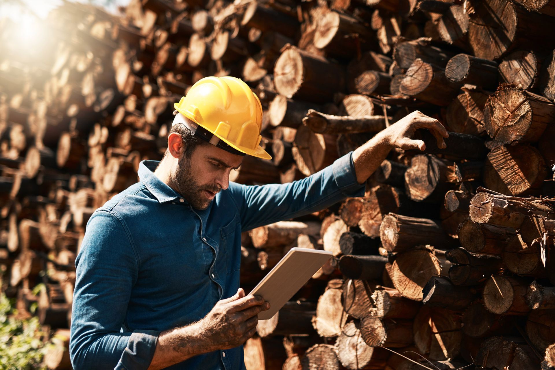 Lumberjack Using His Tablet — Tonasket, WA — Will Logging & Construction LLC