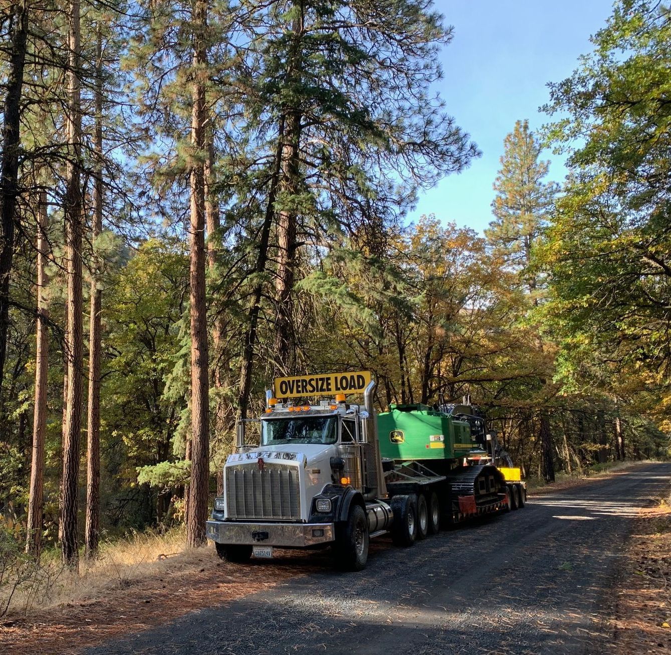 Lumberjack Working in a Forest — Tonasket, WA — Will Logging & Construction LLC