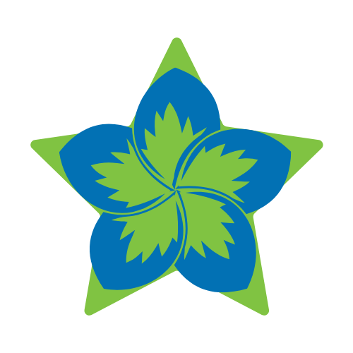 A blue and green flower in the shape of a star