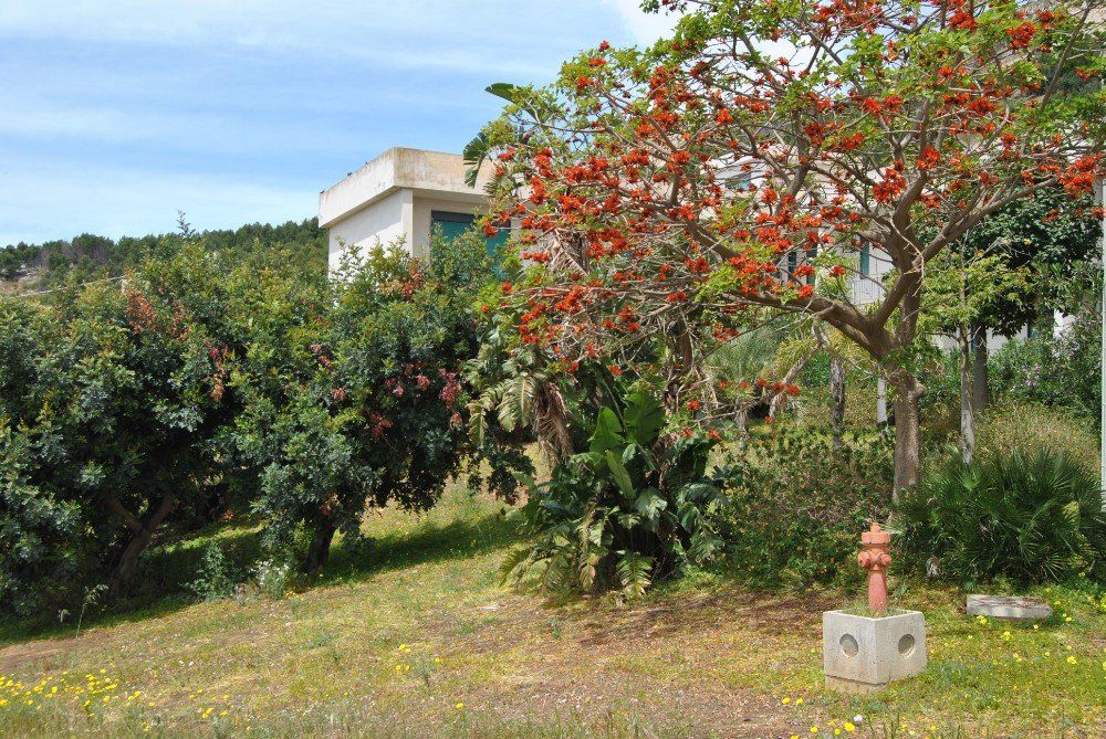struttura casa albergo Trinacria