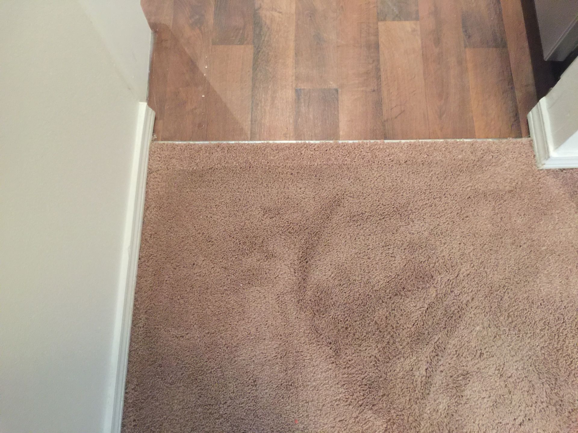 Previously damaged carpet at transition to hardwood after Carpets by Chris Stretching & Repair fixed it perfectly in Kirkland, WA