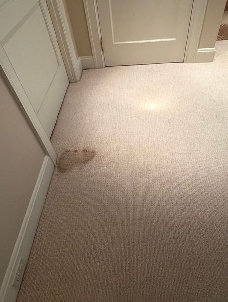 Dark Stain on Wool Carpet Before Carpets by Chris Stretching & Repair repaired it perfectly.