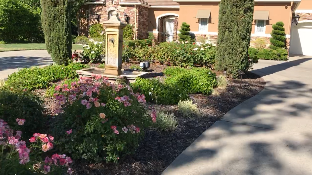 Custom Redwood Pergola & Privacy Retreat in Rocklin, CA