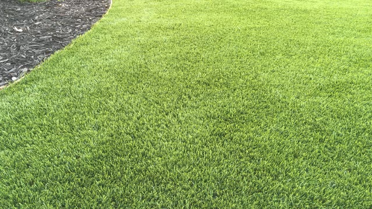 Rocklin, CA Turf Design and Install