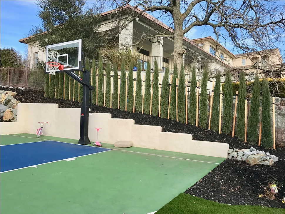 There is a basketball hoop in the backyard of a house.