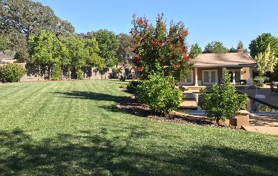 A lush green lawn in front of a large house
