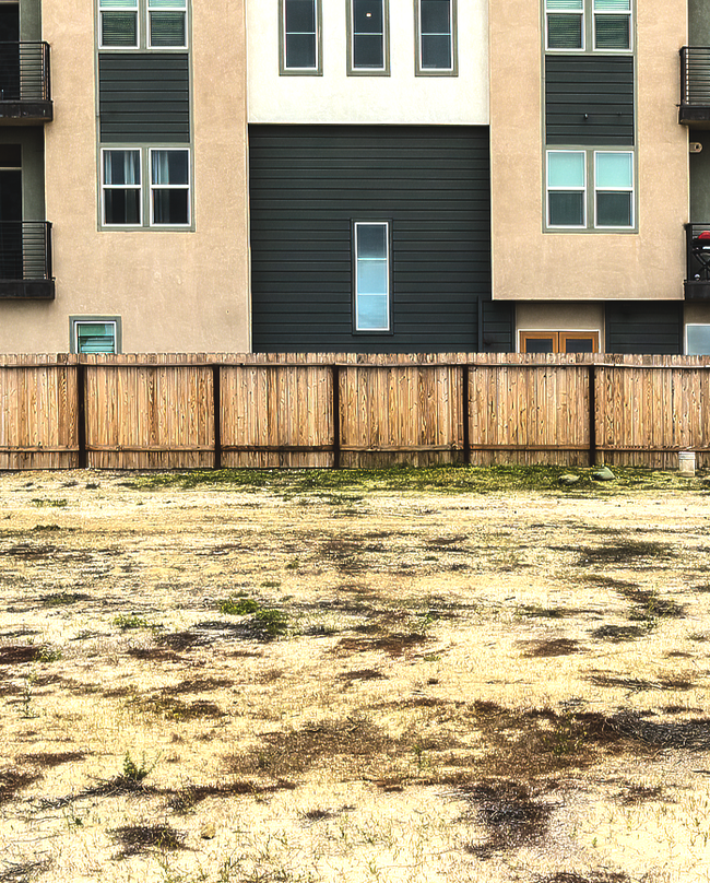 commercial landscape services