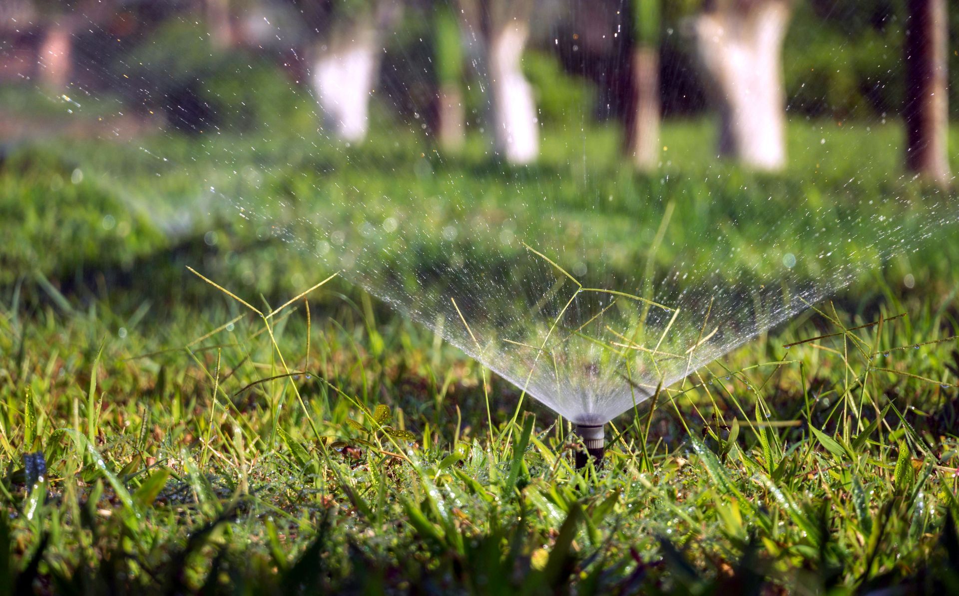 sprinkler heads are now working