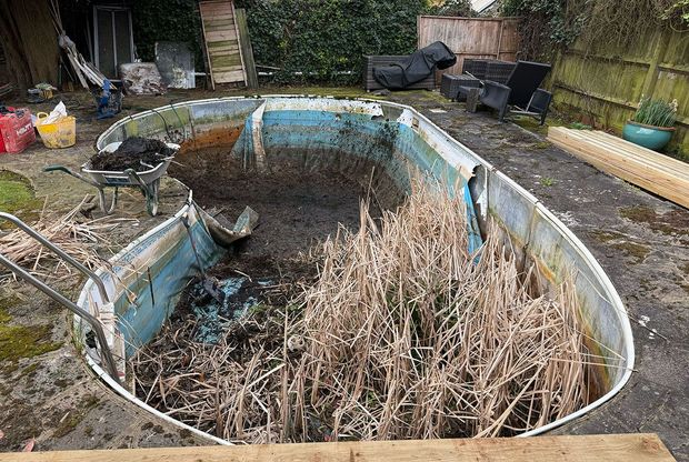 Abandoned empty pool filled with dead plants and debris in a residential garden.