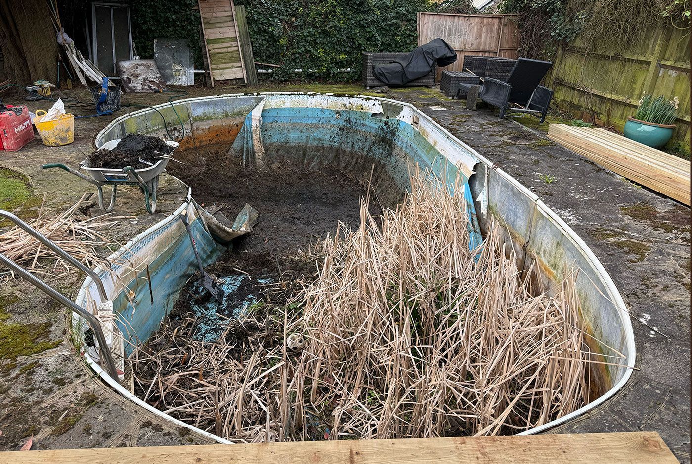 Abandoned empty pool full of dead plants and debris in a residential garden.