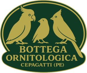 Bottega Ornitologica
 logo