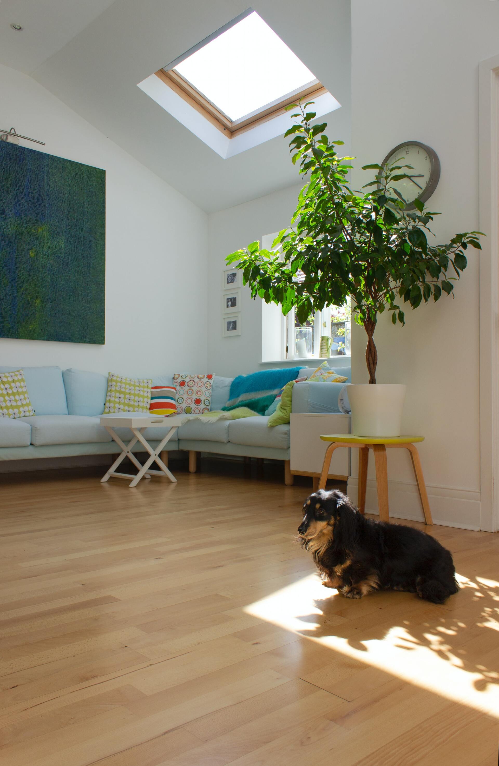 Modern wall paint white Interior decorator Leicestershire
