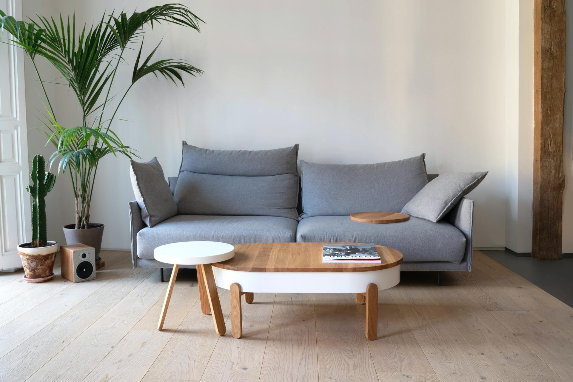 Paint for living room, Oadby and Wigston