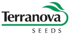 Terranova Seeds