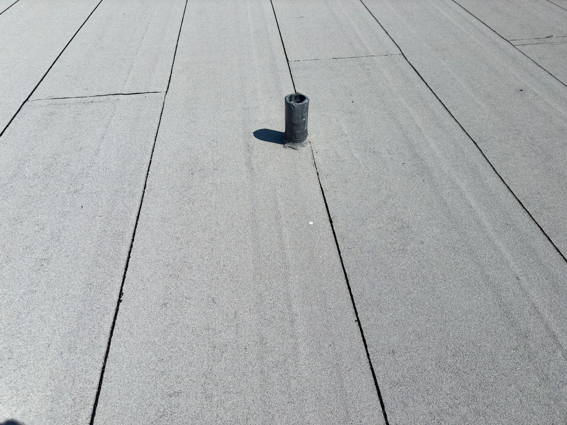 Flat grey roof with visible seams in the material, lit by sunlight from the side.