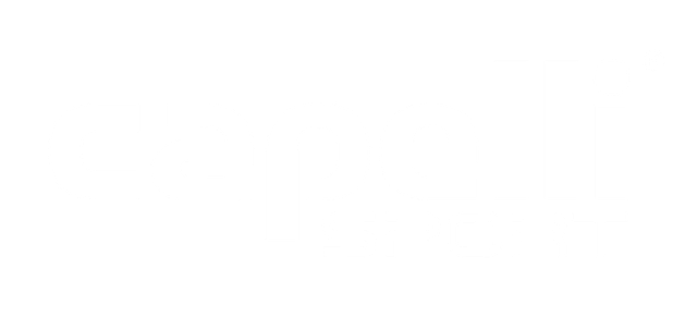 Logo for Capelli Sport