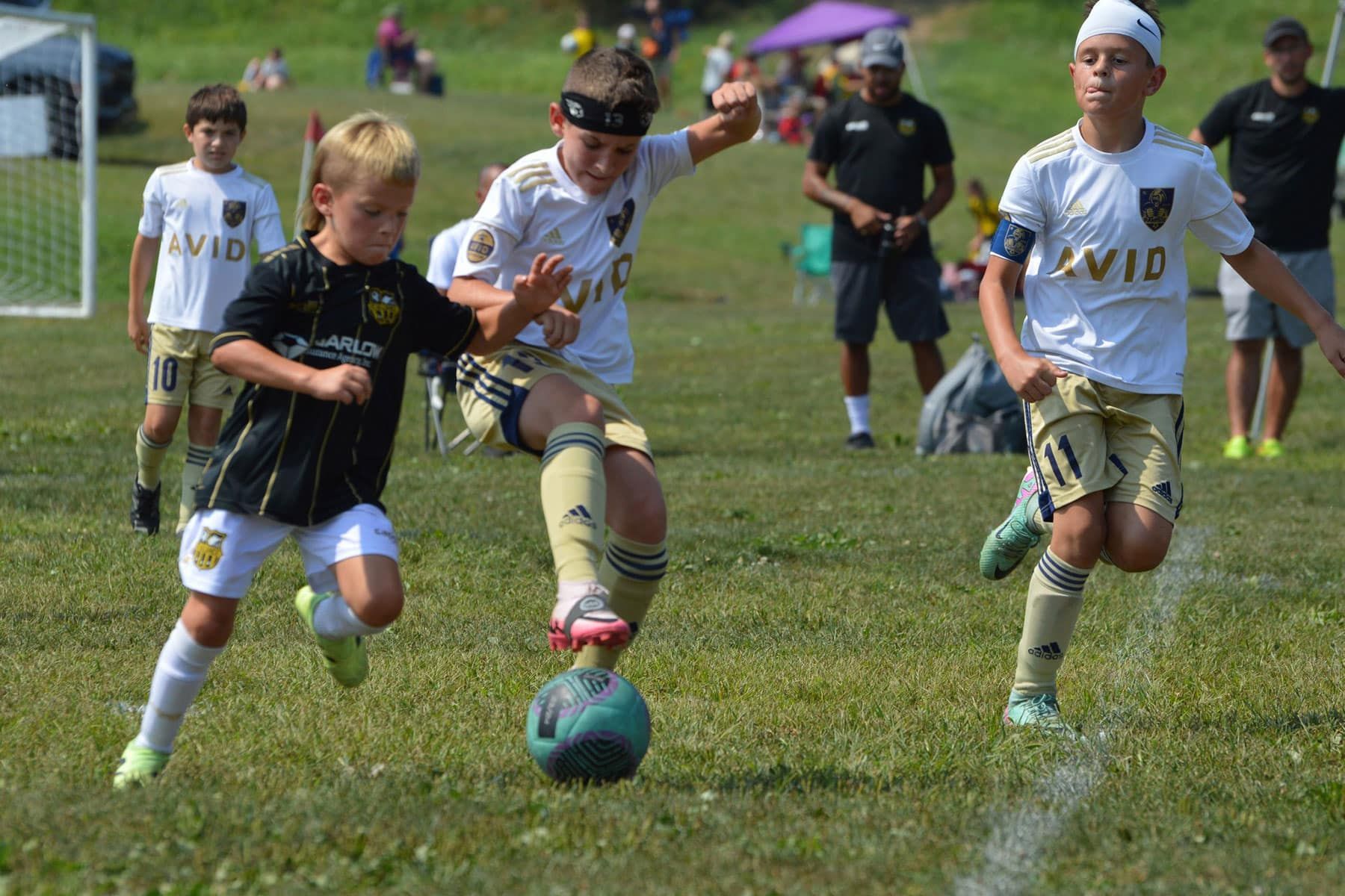 Children playing soccer on a grassy field, with one boy kicking a blue ball near the goal.