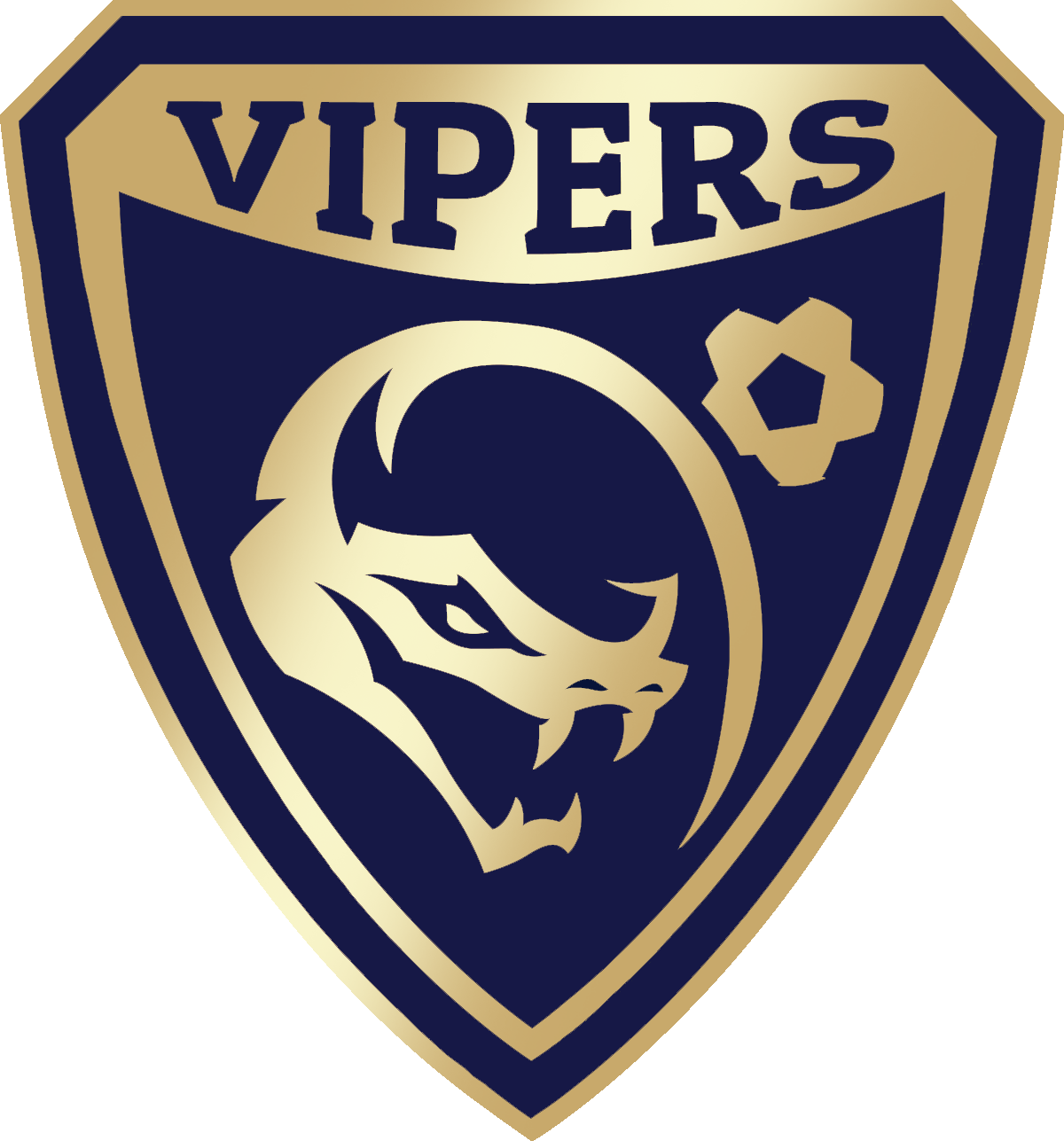 Gold-and-navy Vipers soccer team logo with a stylized viper head and soccer ball