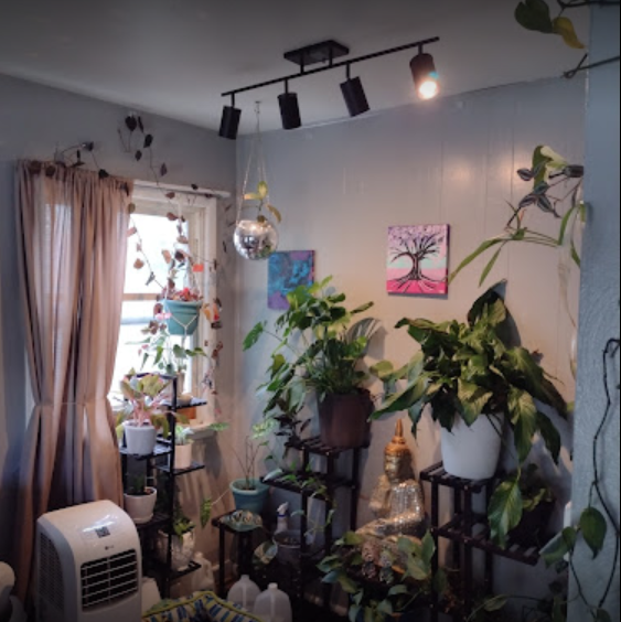 A room with lots of potted plants and a window