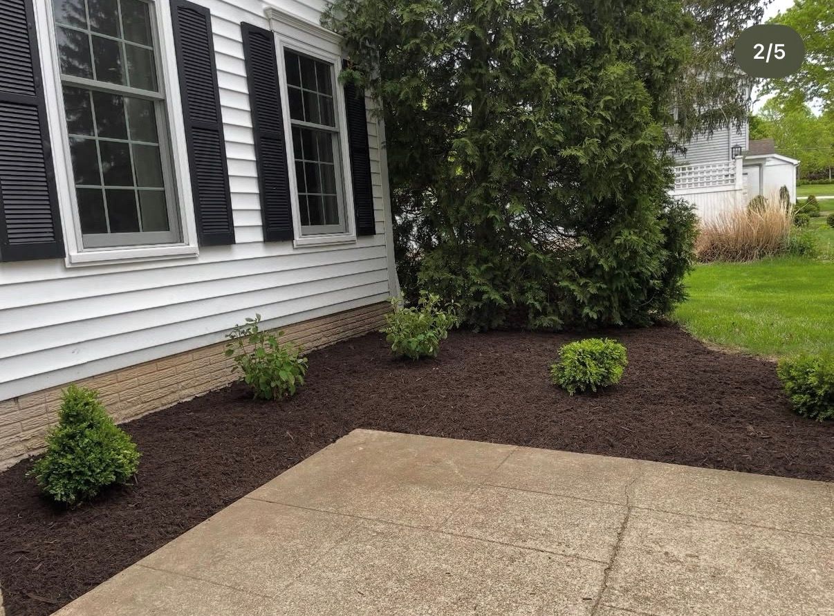 A white house with black shutters, a concrete path, dark mulch, and small green shrubs in a garden bed.