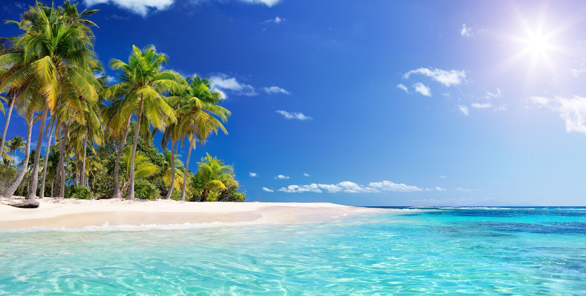 Ein sonnenbeschienener Tropenstrand mit weißem Sand, türkisfarbenem Wasser und einer Gruppe von Palmen