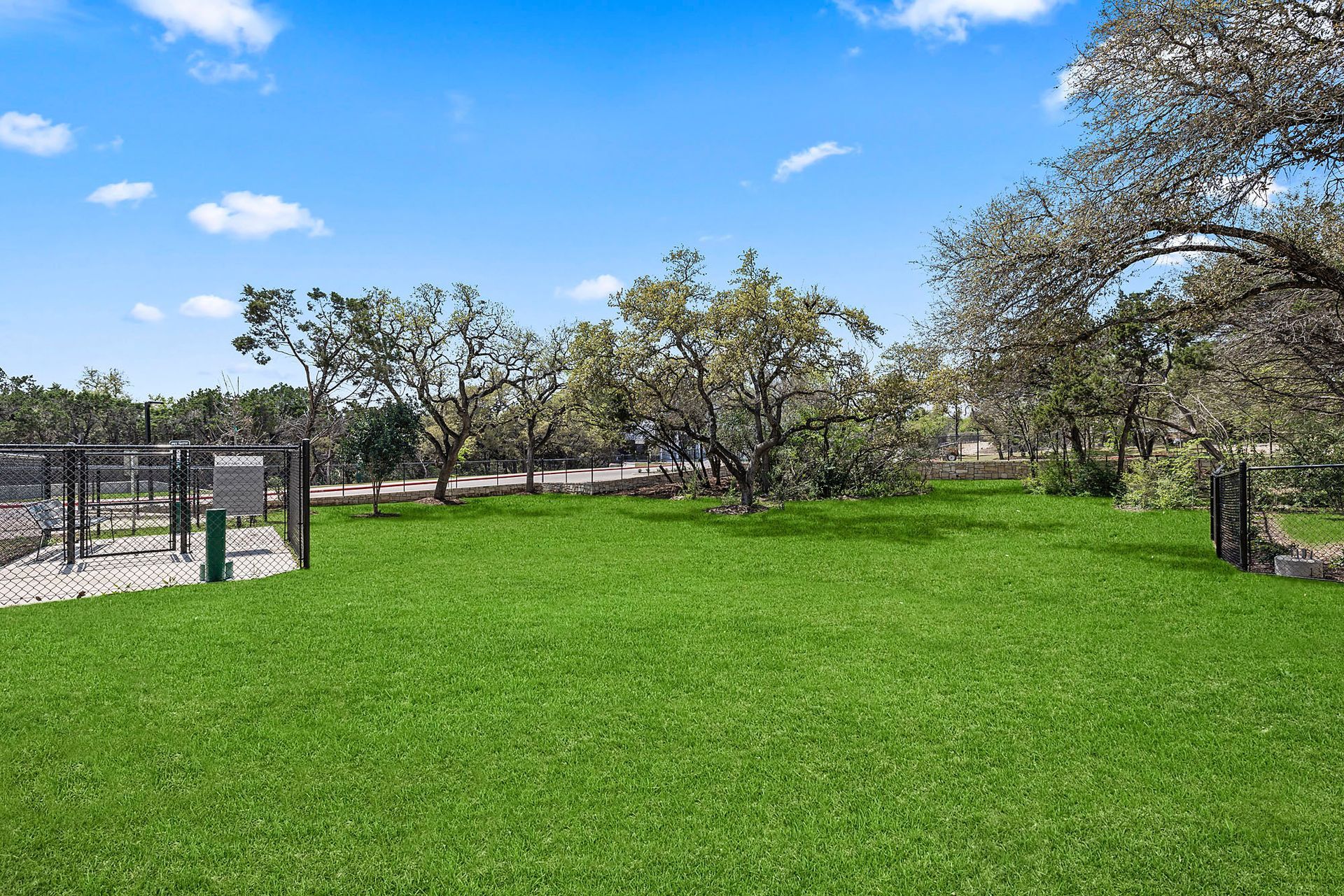 A large lush green field with trees in the background at The Everett, offering apartments for rent with private fenced yards.
