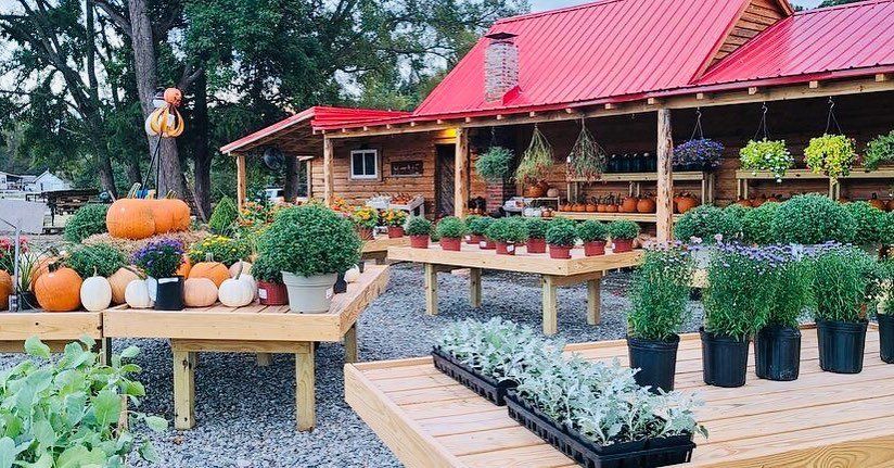 Outdoor pumpkin display beside a garden shop with potted plants and a red-roofed building