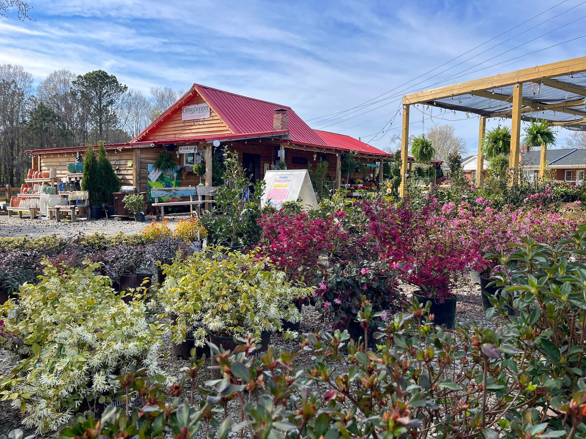 Grasshopper Farms NC outdoor plants