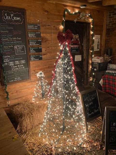 Lighted Crab Pot Christmas Trees