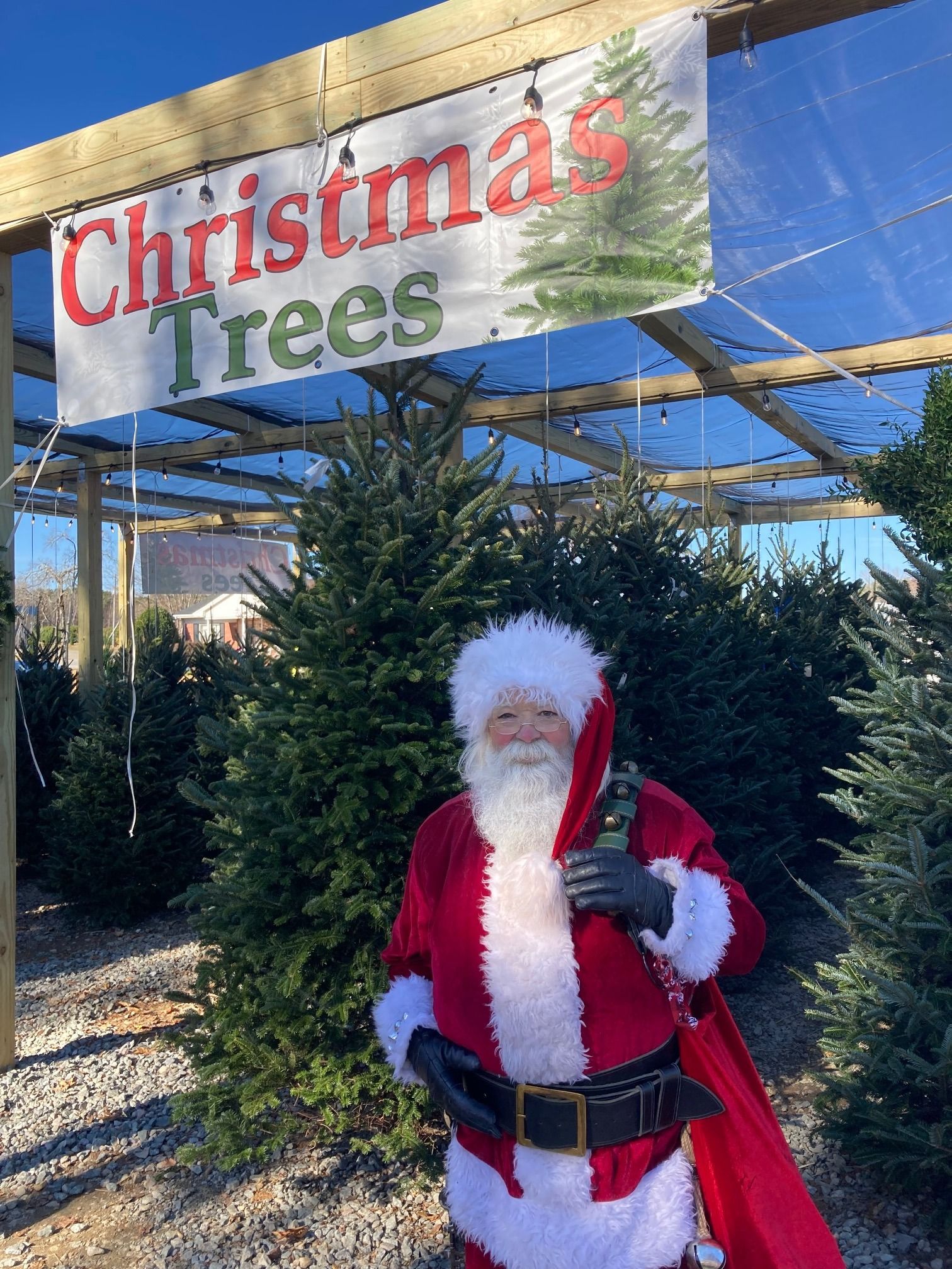 Christmas Trees, Christmas Lights at Grasshopper Farms near Knightdale and Raleigh