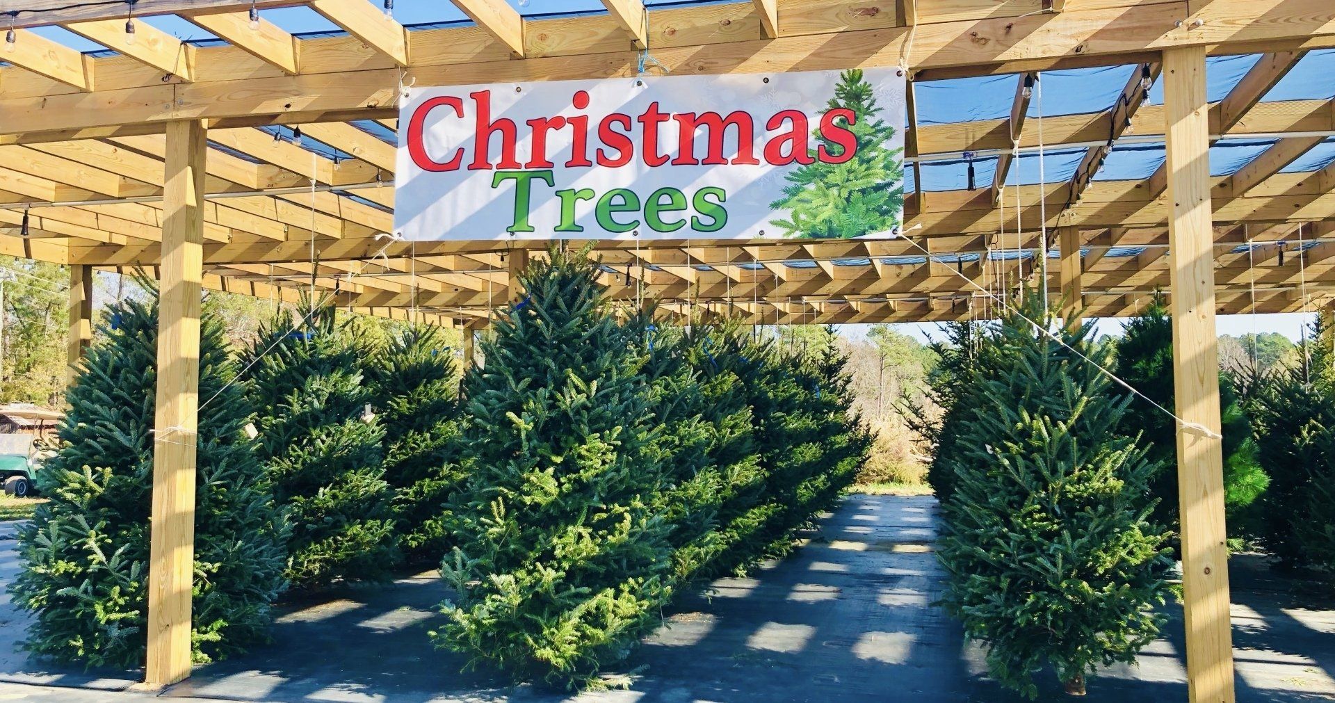 Rows of Christmas trees under a wooden canopy with a “Christmas Trees” sign overhead. Grasshopper Farms Knightdale, NC