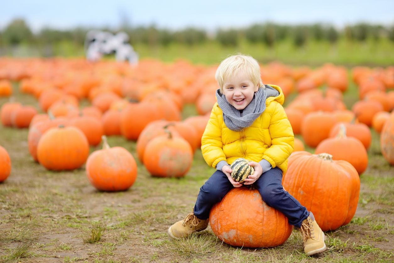 Child in a yellow jacket sitting on a pumpkin in a pumpkin patch with many pumpkins around. Grasshopper Farms Knightdale, NC