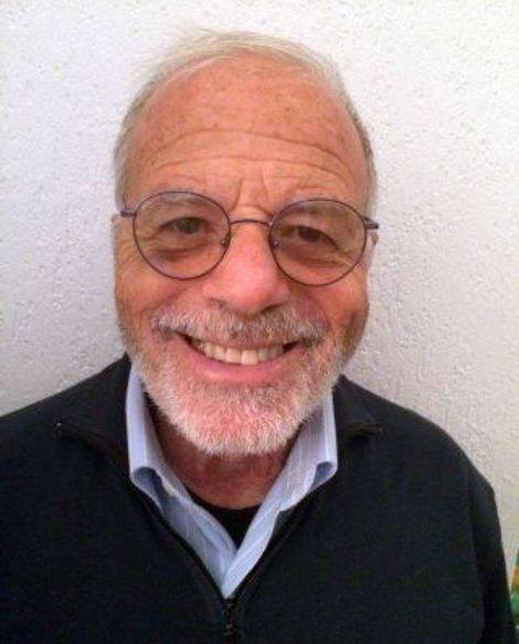 Docente di estetica
