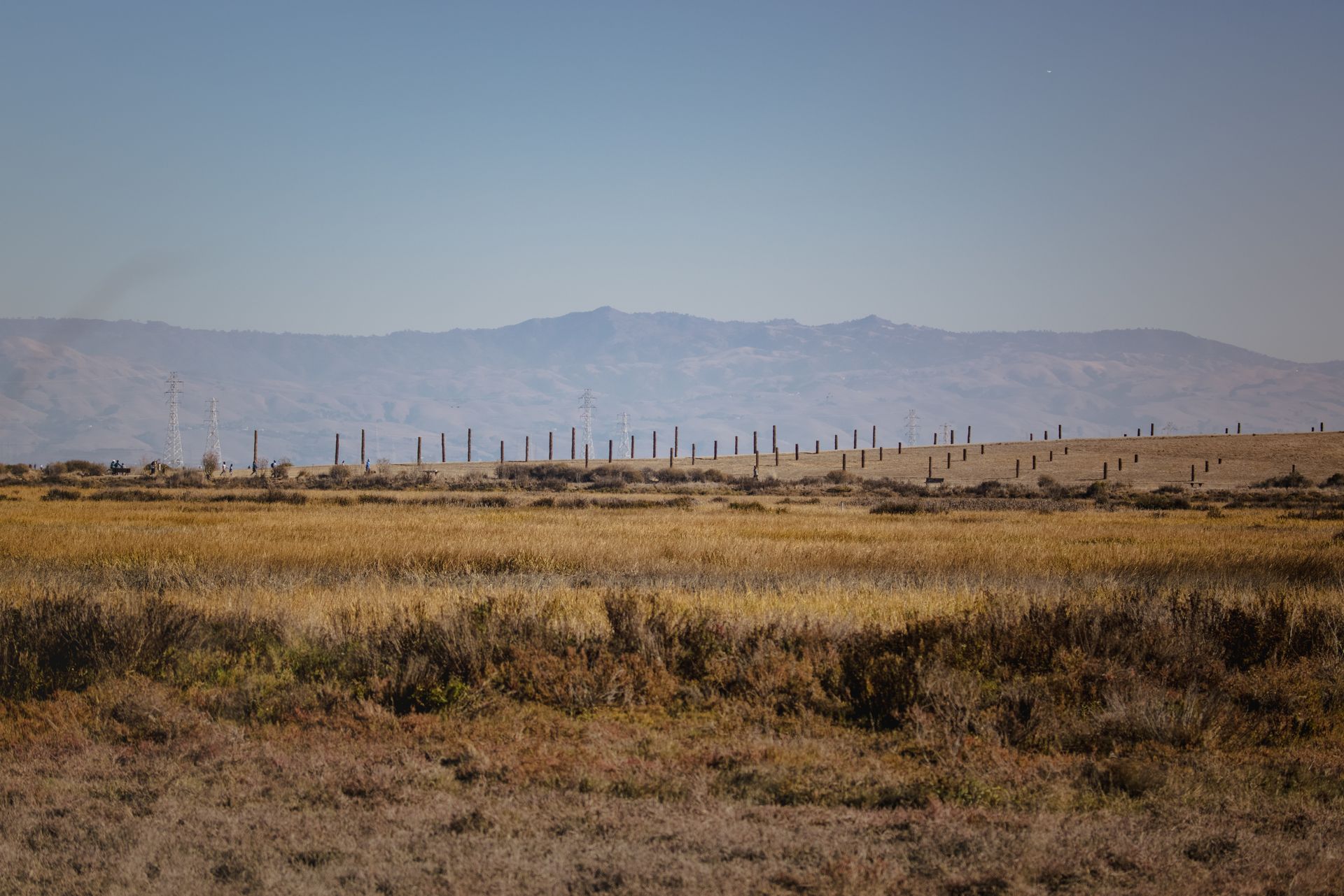 Dry field with rows of posts, mountains in the distance, and a clear blue sky.