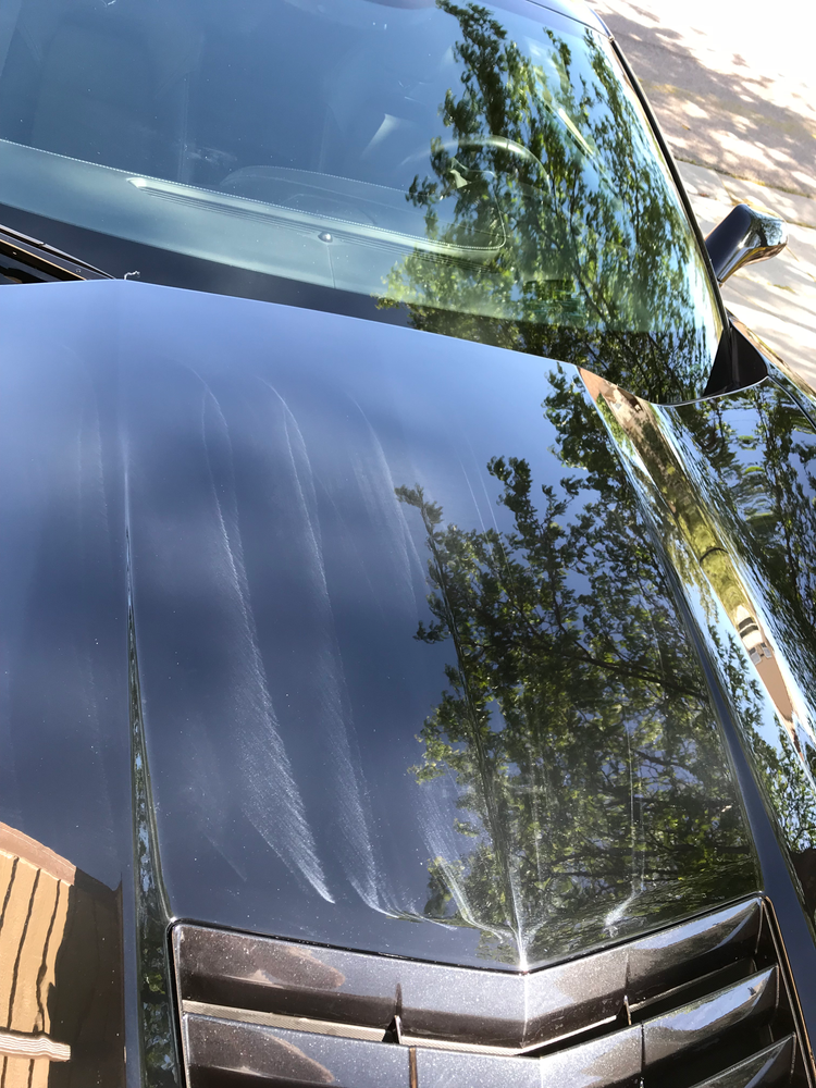 A close up of the hood of a car with trees reflected in the windshield.