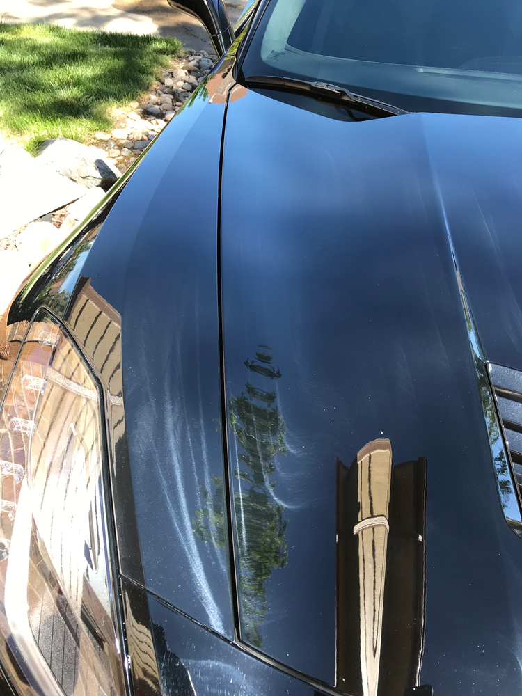 A close up of the hood of a black car.