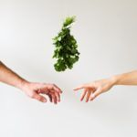 Hands with Cilantro — Portsmouth, NH — Lager Susan R Hands with Cilantro — Portsmouth, NH — Lager Susan R