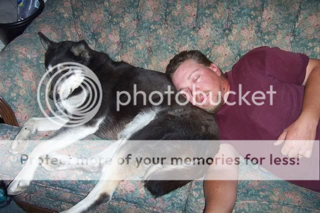 A Man is Sleeping on a Couch Next to a Dog — Portsmouth, NH — Lager Susan R