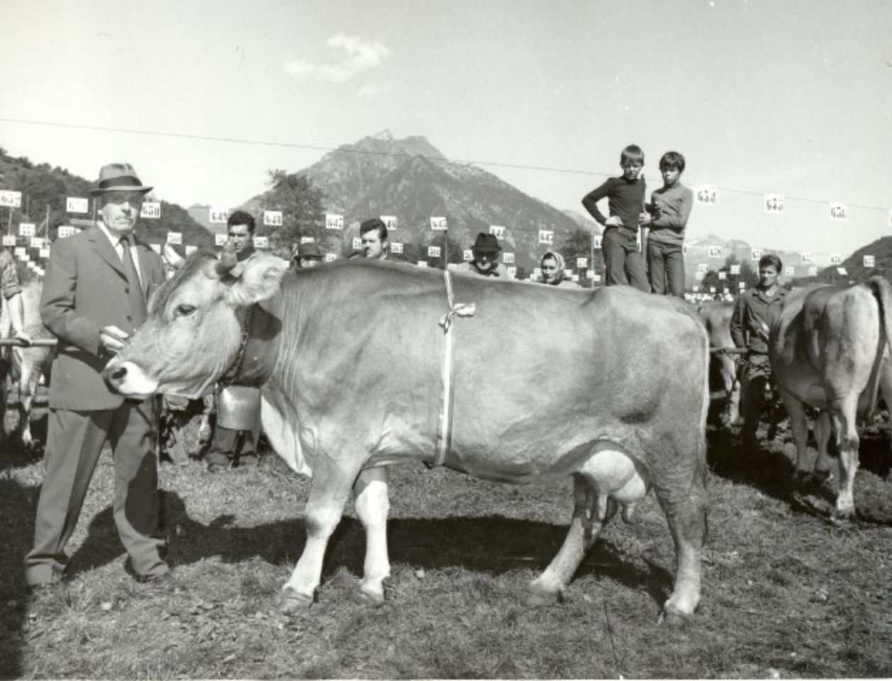 foto storica del pascolo