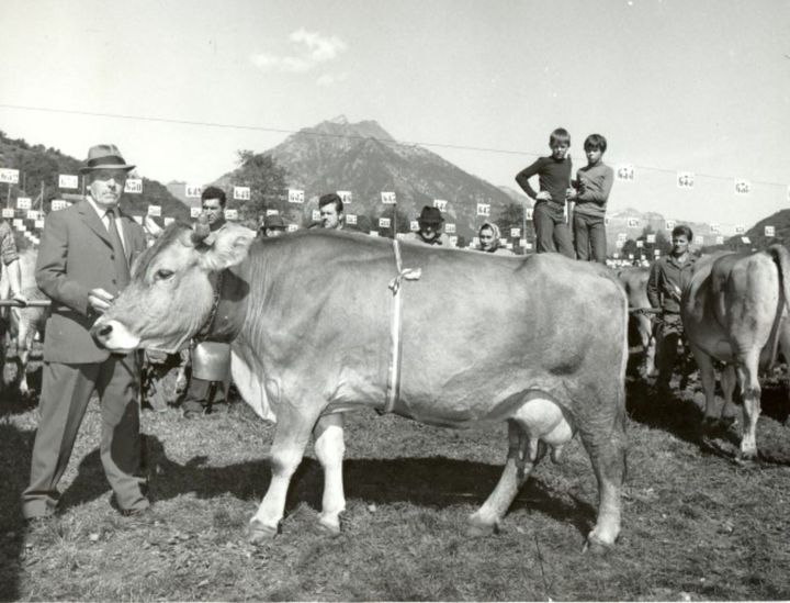foto storica del pascolo