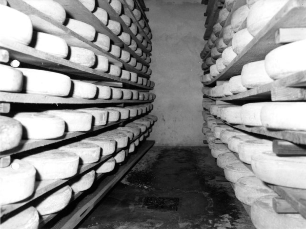 foto storica della latteria