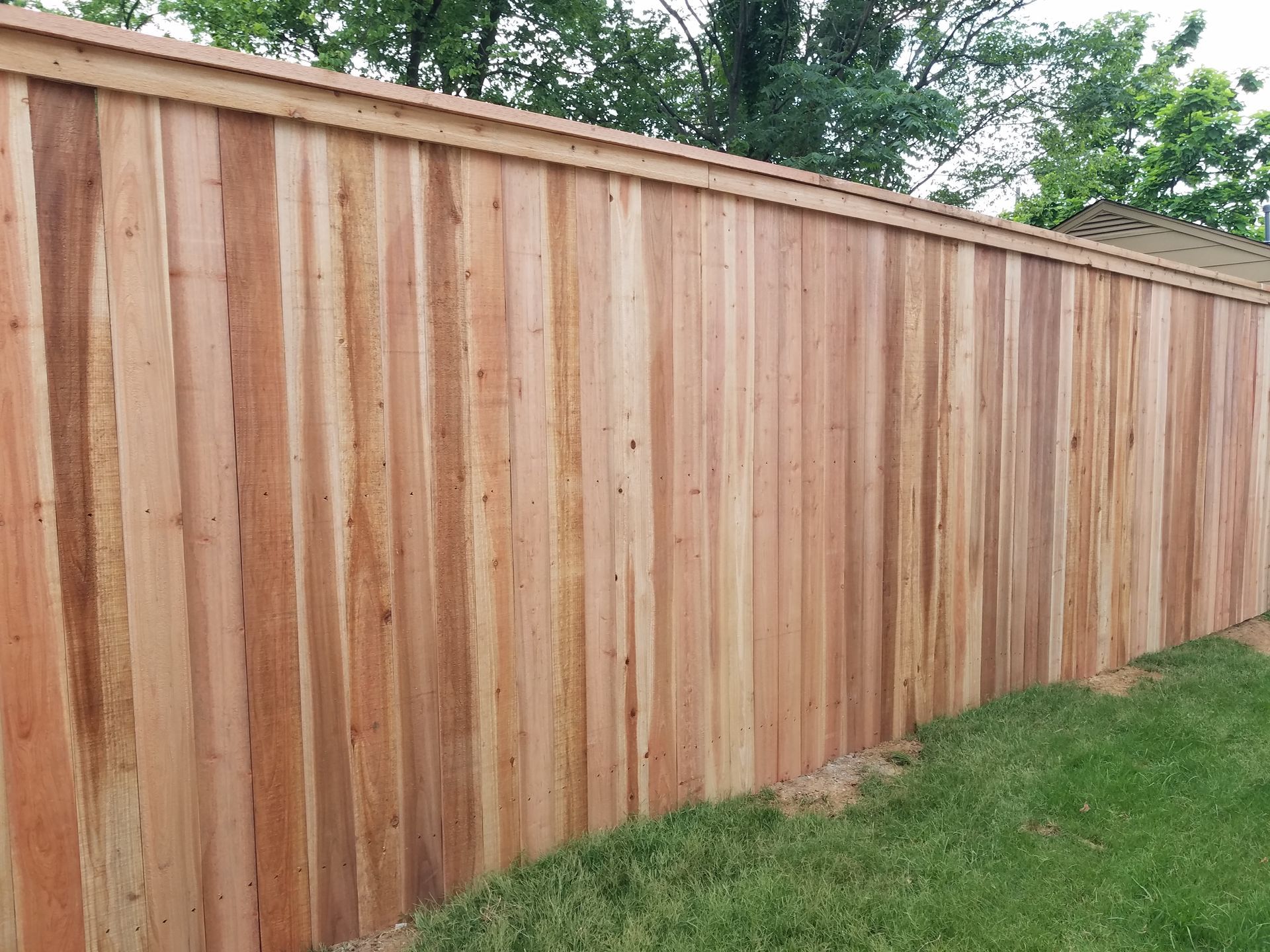 A straight, vertical wooden fence with a top trim piece, situated next to green grass under a clear sky.