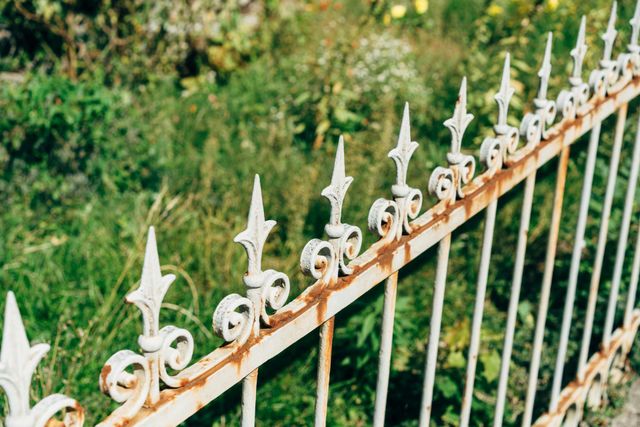 White, ornate, rusty metal fence with decorative finials, set against a green, overgrown background.