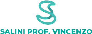 Prof. Vincenzo Salini Prof. Vincenzo Salini - logo