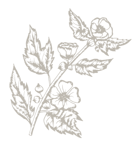 Illustration Blume